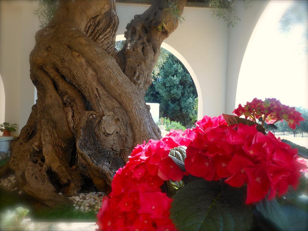 L'Ulivo Bed And Breakfast Savelletri Exterior photo